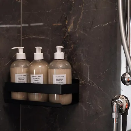 公寓 Taurinorum 都灵